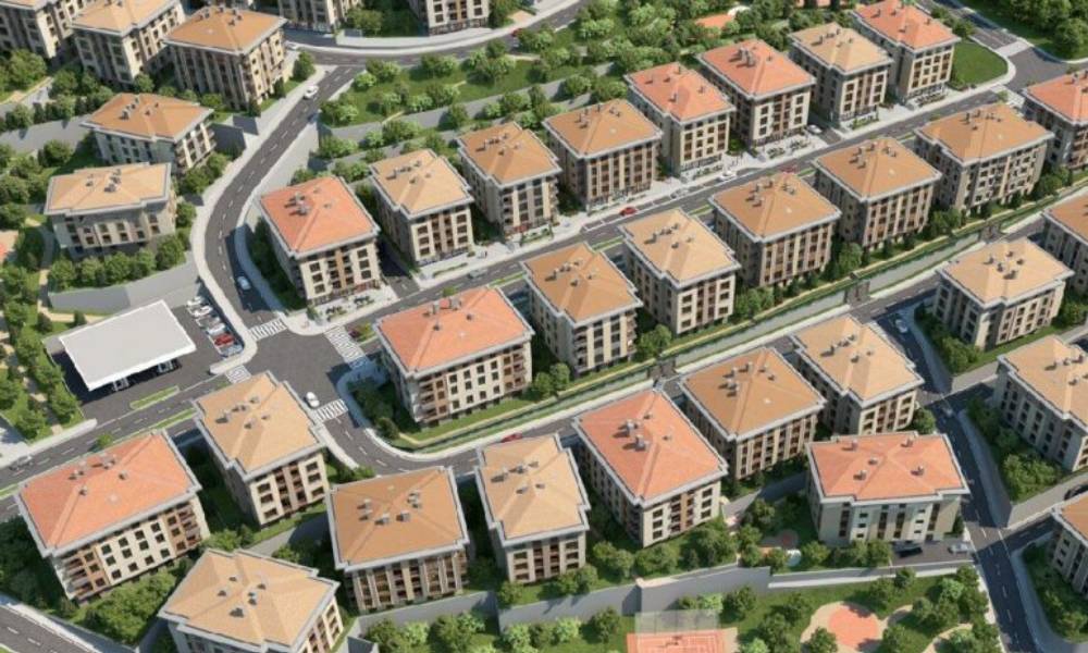 Konuta indirimli kedi desteği! Ayrıntılar belli oldu