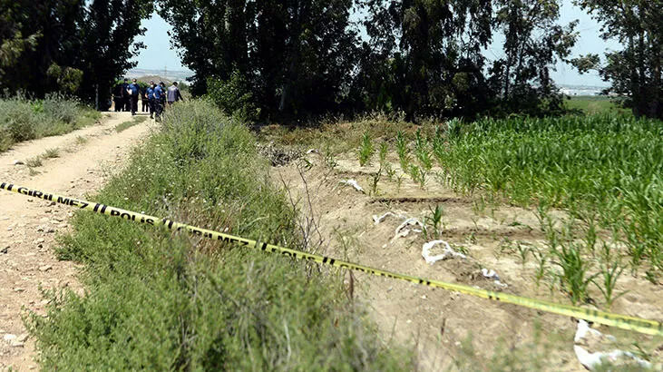 Mısır tarlasında korkunç olay!