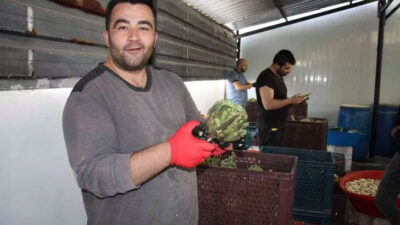 Özel ekip kurdular! Bu iş aylık 30 bin TL kazandırıyor