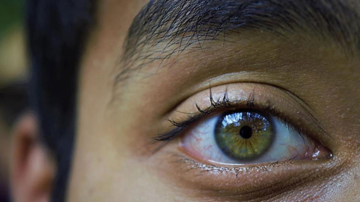 Dünya bu araştırmayı konuşuyor! Bilim insanlarının mucizevi keşfiyle ölümü yenme ihtimali doğdu