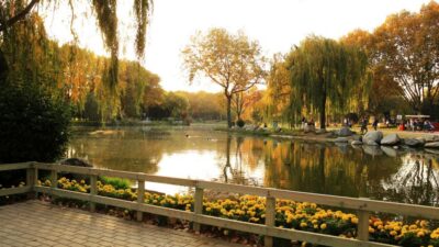 Bursa’da Botanik Park için öneri! Bakın kimin ismi verilebilir?