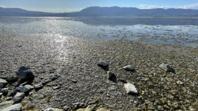 Suyun rengi değişti! Paniğe neden oldu