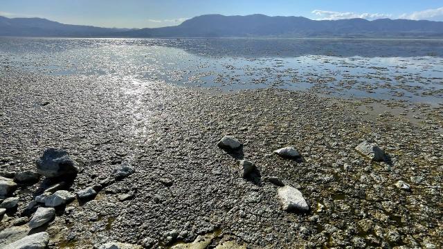 Suyun rengi değişti! Paniğe neden oldu