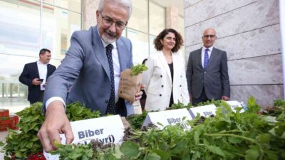 Bursa’da 400 bin fide toprakla buluşacak