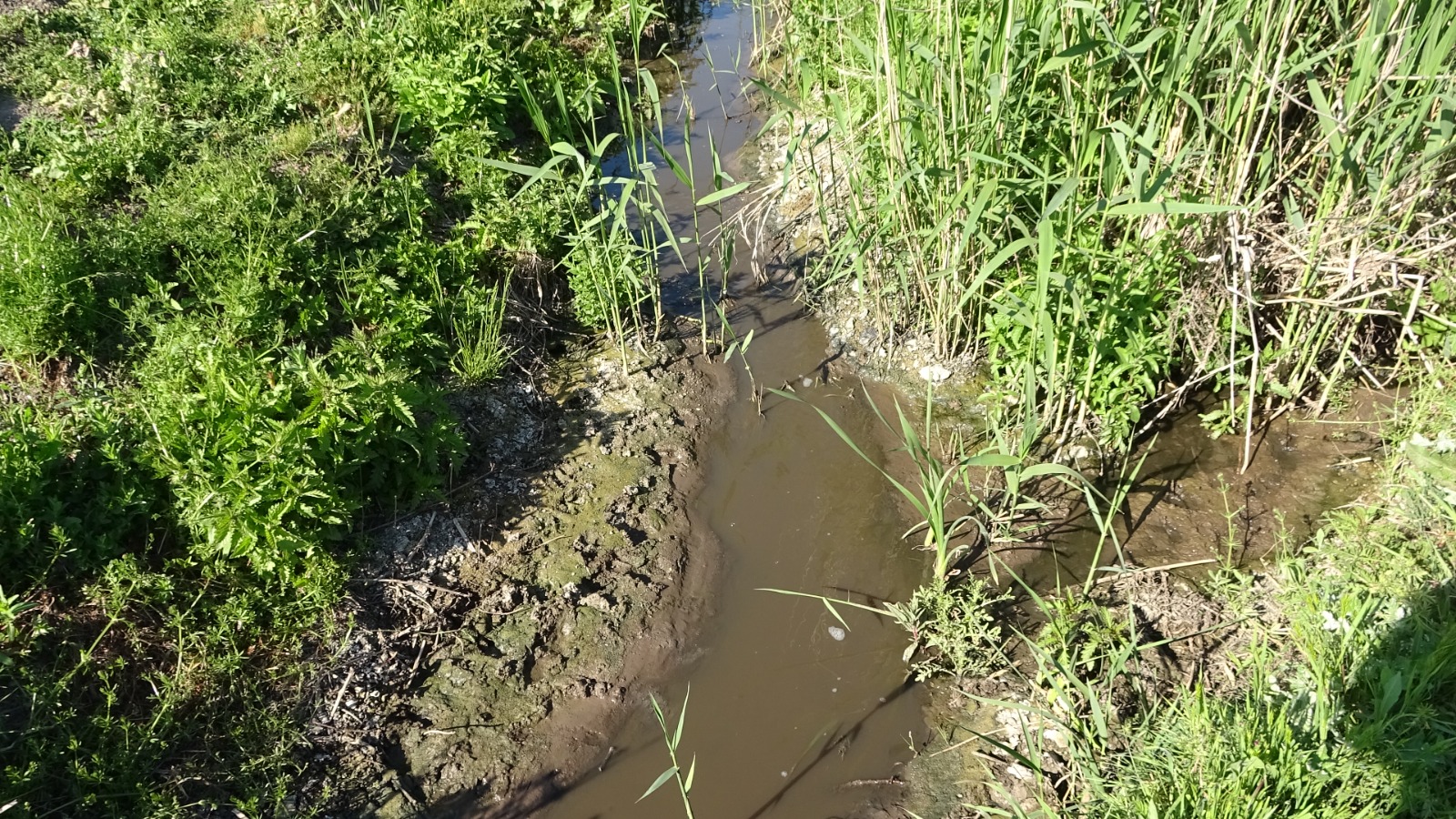 Bursa’da çevre felaketi! Açık bir ihanet…