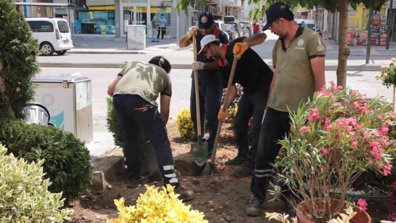 Gürsu’nun caddelerine rengarenk çiçeklerle yaz coşkusu Rengarenk çiçeklerle bezenen Gürsu’nun caddeleri yaz coşkusunu yaşatıyor.