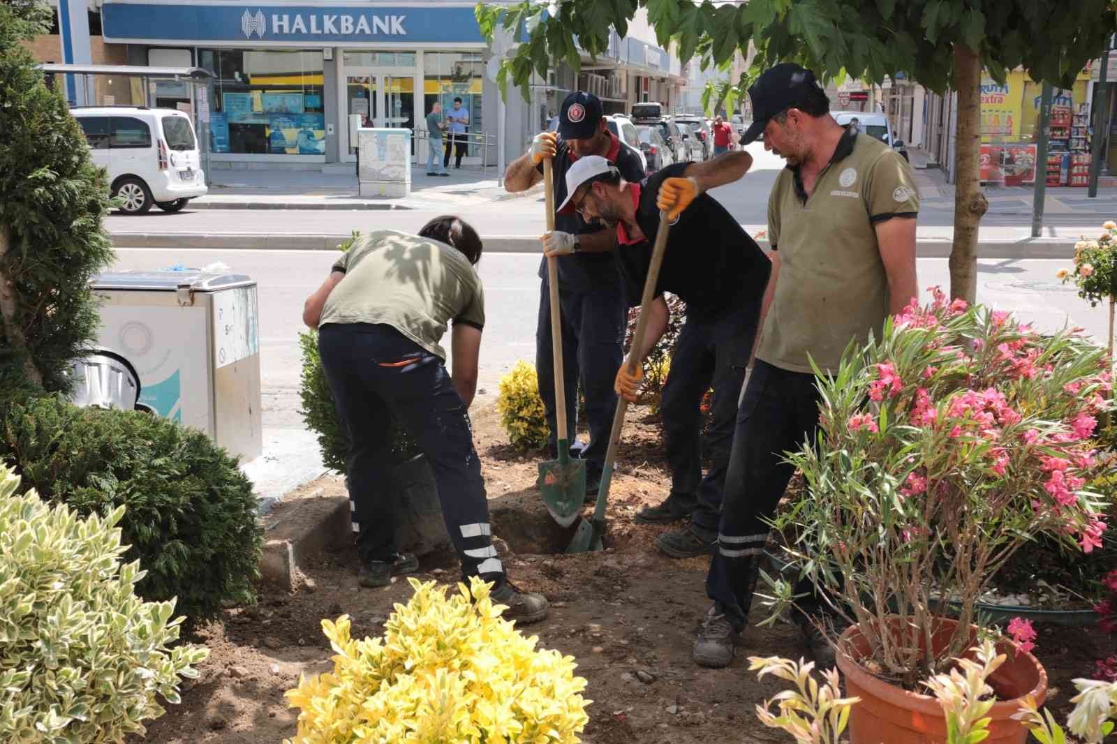 Gürsu’nun caddelerine rengarenk çiçeklerle yaz coşkusu Gürsu’nun caddelerine rengarenk çiçeklerle yaz coşkusu