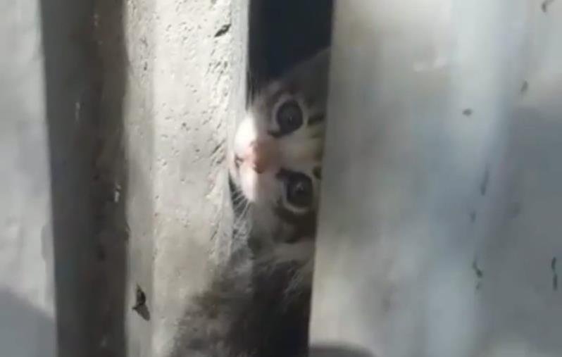 Bursa’da duvara sıkışan kesinin imdadına itfaiye yetişti!