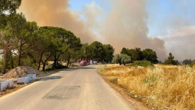 KKTC’de orman yangını