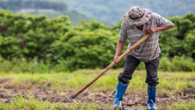 Bursa’da kırsaldan haberler iyi değil!