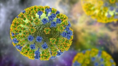 Türk profesör üzerine basa basa söyledi! Maymun çiçeği virüsü…