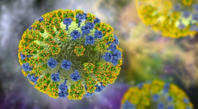 Türk profesör üzerine basa basa söyledi! Maymun çiçeği virüsü…