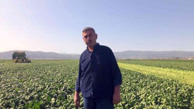 Bursa’da yetişiyor, Avrupa’ya gidiyor