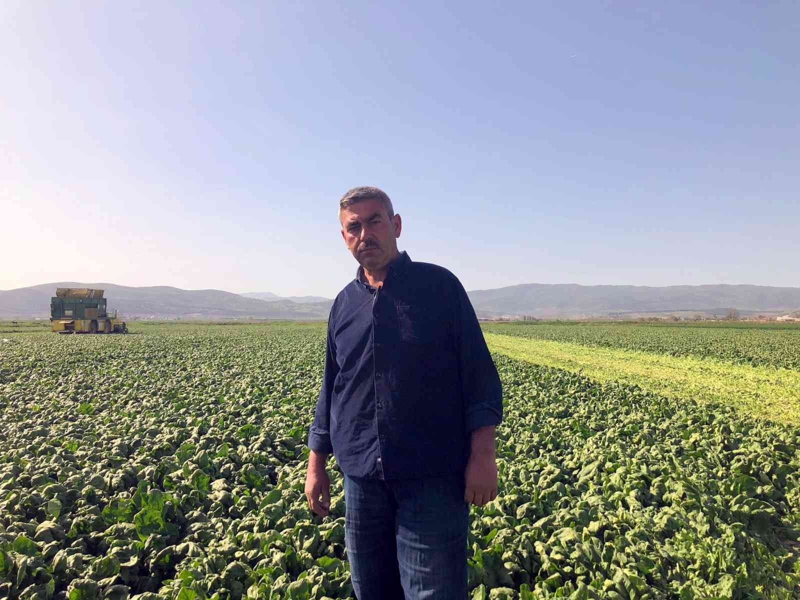 Bursa’da yetişiyor, Avrupa’ya gidiyor