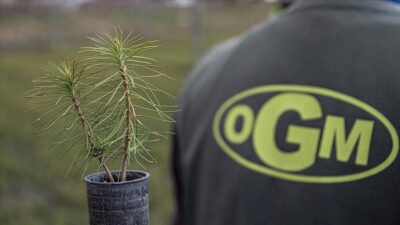 Türkiye’de fidan üretimine ‘iklim değişikliği’ ayarı