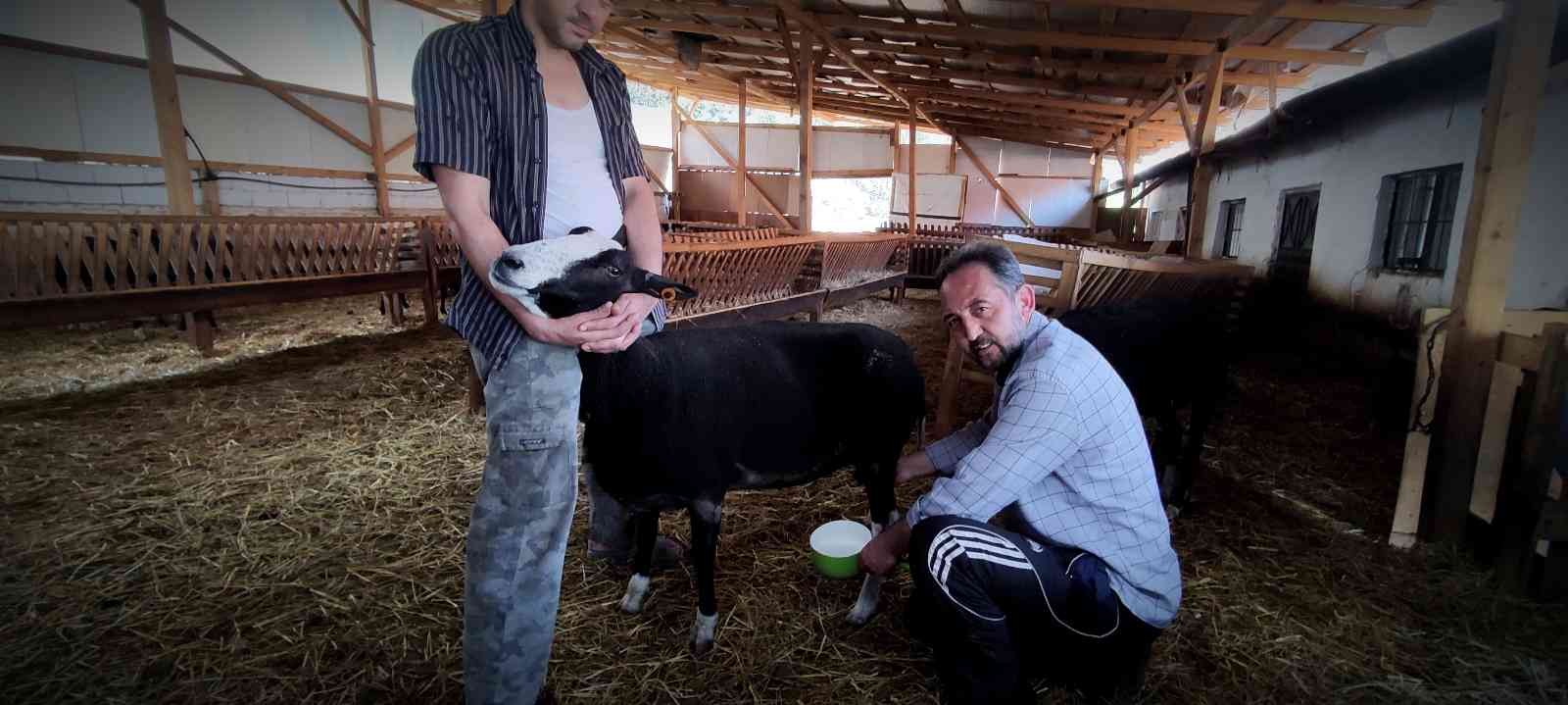 Bursa’da talep patlaması yaşayan ürün!