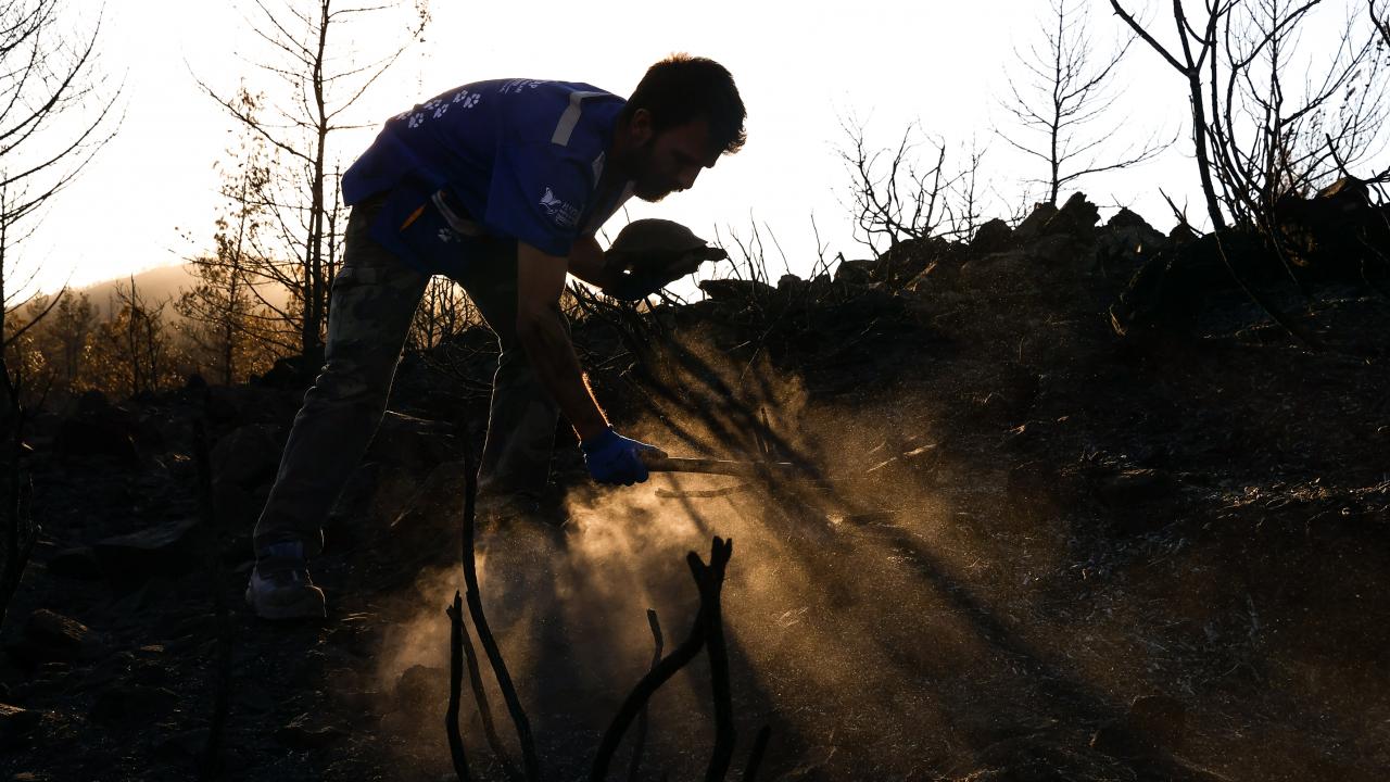 Küllerin altında can arıyorlar