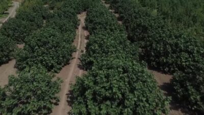 Bursa’da yeni hedef Çin ve Rusya pazarları