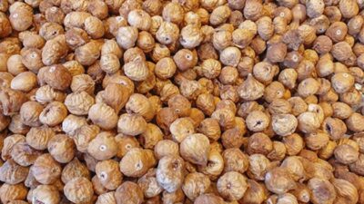 Umutsuzluğa kapılmak yok! Bu besin şansı artırıyor…