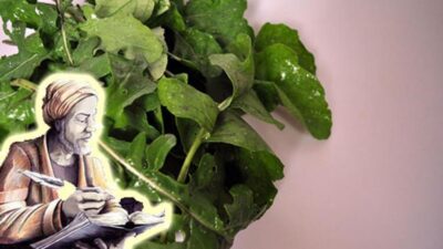 İbn-i Sina reçetesi ortaya çıktı! Şifası meğer…