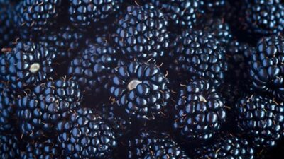 18’lik hafızanın sırrı…