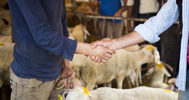 Bursa’da kurban fiyatları belli olmaya başladı! Bakın bu ilçede ne kadar? Bursa’da kurban fiyatları belli olmaya başladı! Bakın bu ilçede ne kadar?