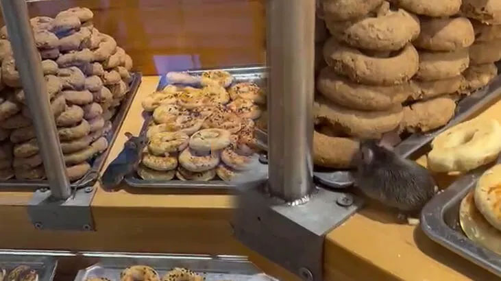 Ünlü zincir markette şoke eden görüntü! Ünlü zincir markette şoke eden görüntü!