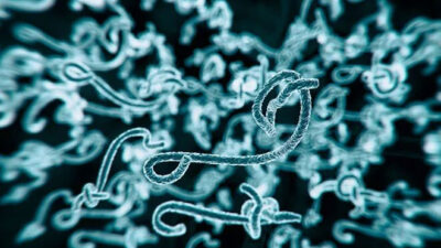 Tehlike çanları! 23 kişi yaşamını yitirdi