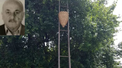 Erik toplamak için çıktığı ağaçtan düşerek hayatını kaybetti