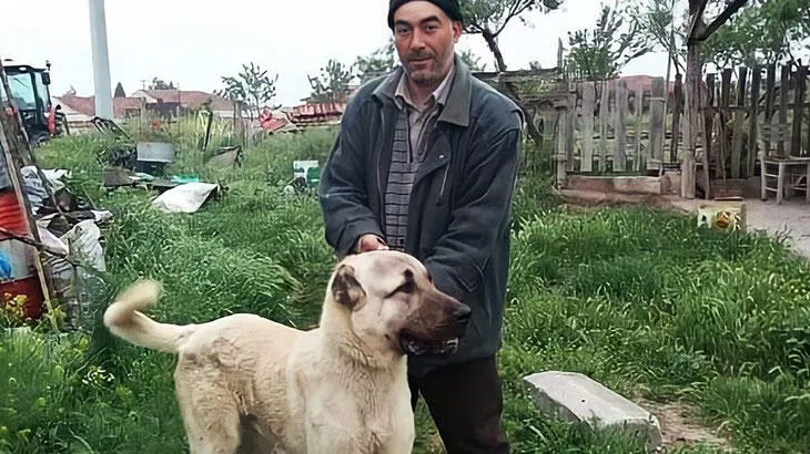 İki ailenin kavgasında vurulan oğul öldü, baba yaralı