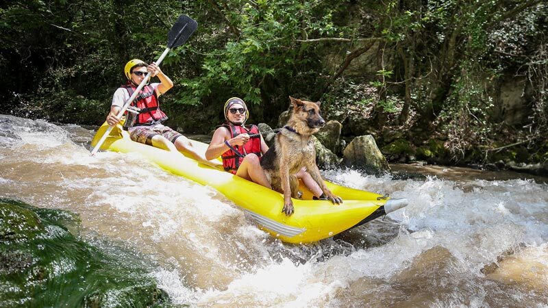 Alman kurt köpeği "Leo", Kocasu Deresi parkurunda rehberlik yapan sahibinin