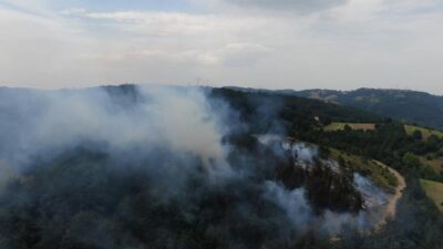 Bursa’da orman yangını