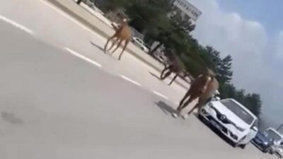 Bursa’da trafiği felç ettiler