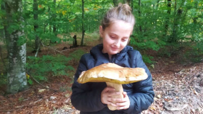 Mustafakemalpaşa’da ayı ve sarıkız mantar sezonu başladı