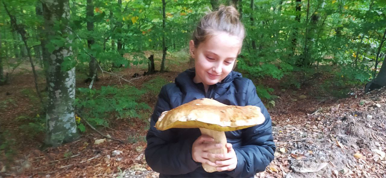 Mustafakemalpaşa’da ayı ve sarıkız mantar sezonu başladı