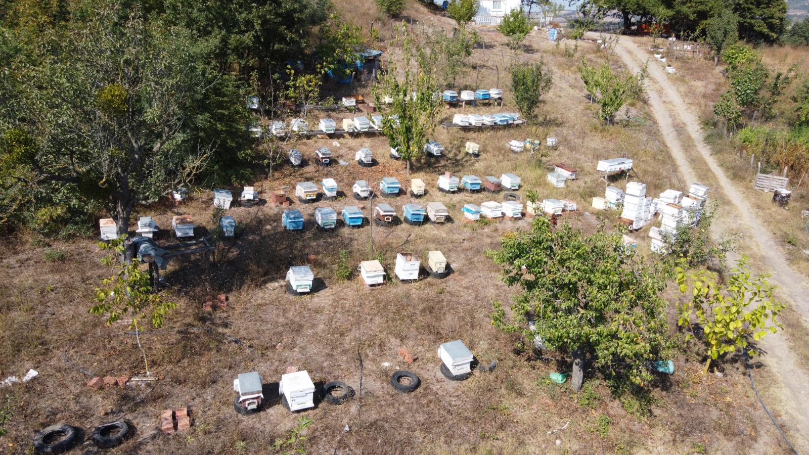 Türkiye’de bir ilk! Bursa’da kuruluyor