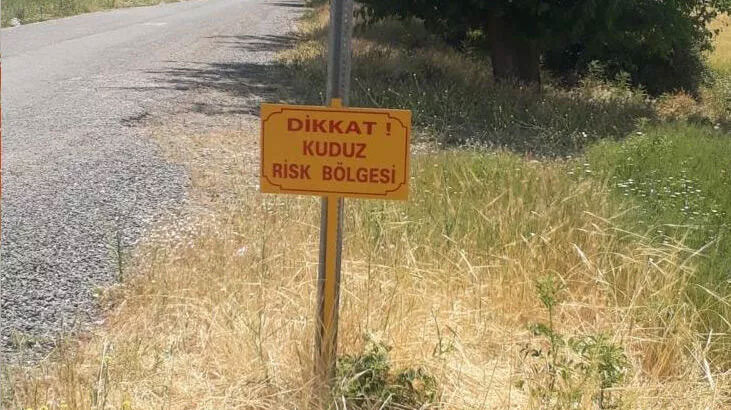 Bir köy kuduz vakasıyla karantinaya alındı Bir köy kuduz vakasıyla karantinaya alındı