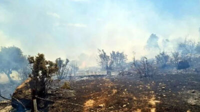 Bodrum’da orman yangını