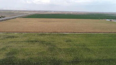 İcradan satılık arsa ilanı