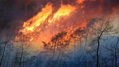 Marmaris yangınında alevlerin ilerlemesi, karşı ateşle önlenmiş