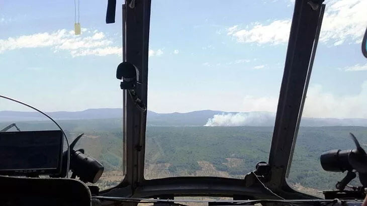 İzmir’de orman yangını