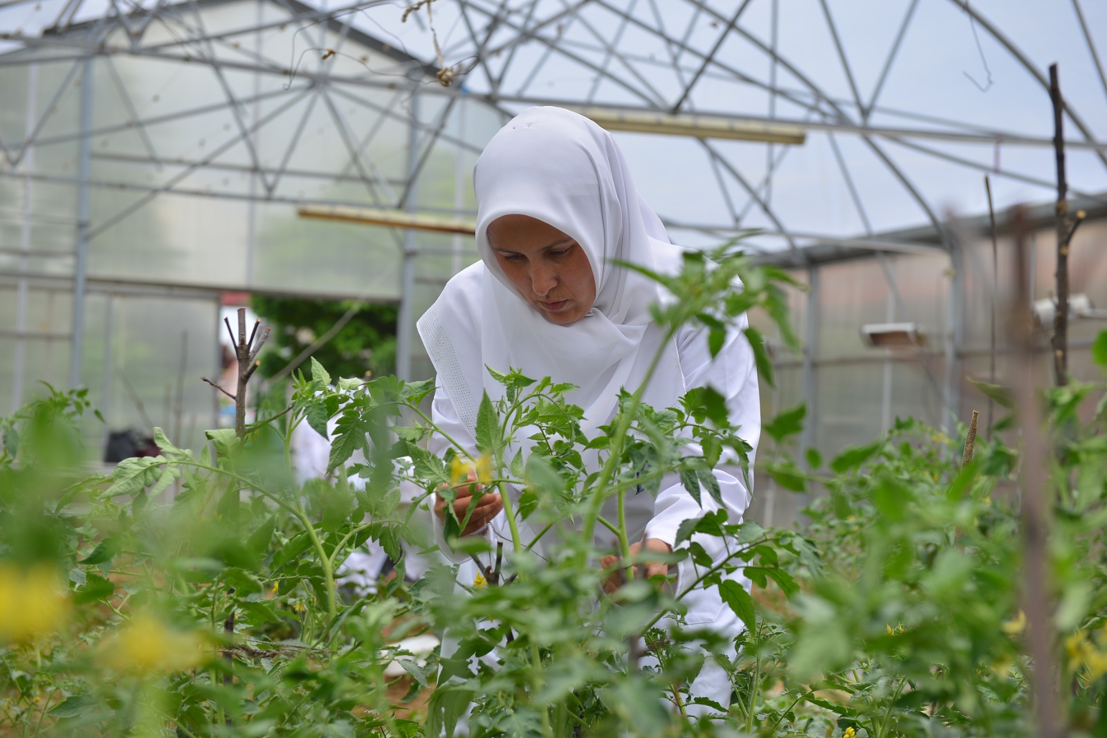 Yıldırım’ın ‘özel’ anneleri üretiyor