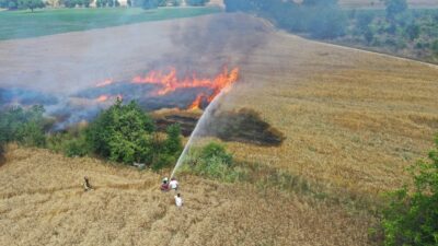 Bursa’da buğday tarlasında yangın