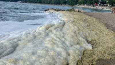 İznik Gölü’nde ‘siyanobakteri’ alarmı! Göle girmek yasaklandı