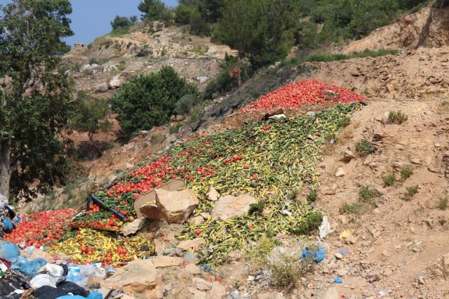 Çöpe dökülen sebzeler sosyal medyayı ayağa kaldırdı! Bakan Muş’tan açıklama…