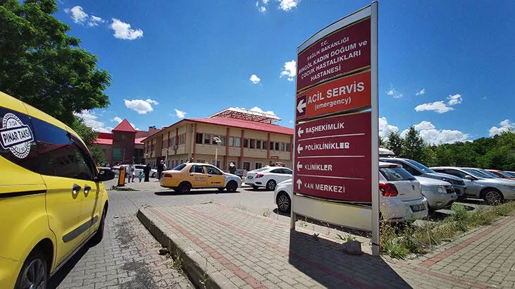 Bingöl’de 15 yaşındaki cinayet şüphelisi tutuklandı