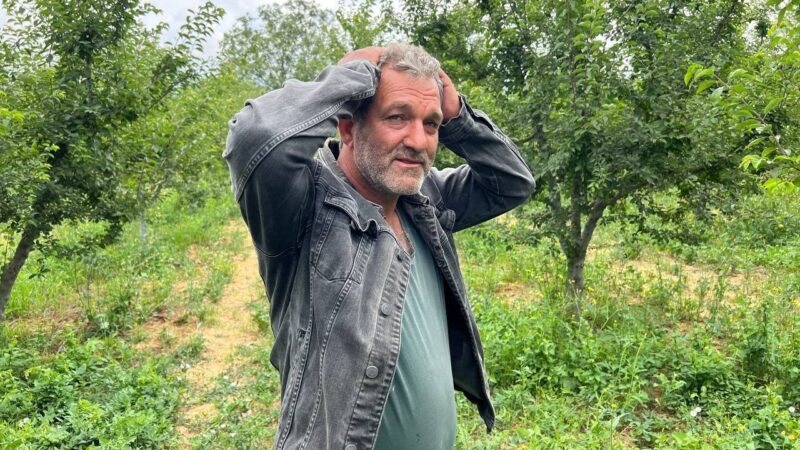 Bursa’da erik tarlası soyulan çiftçiden hırsıza mesaj: “İşçilik güzel kendisiyle çay içmek istiyorum” Bursa’nın İznik ilçesinde bir erik tarlasından 160 ağaç eriği bir
