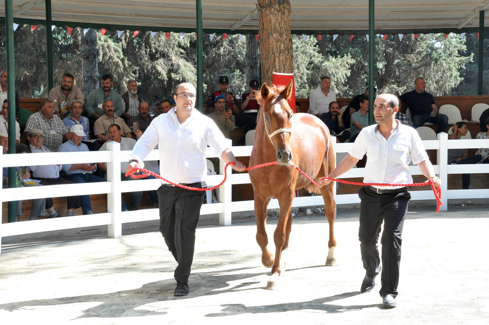 Bursa’da ev fiyatına tay