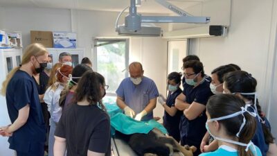 Geleceğin veteriner hekimleri Osmangazi’de