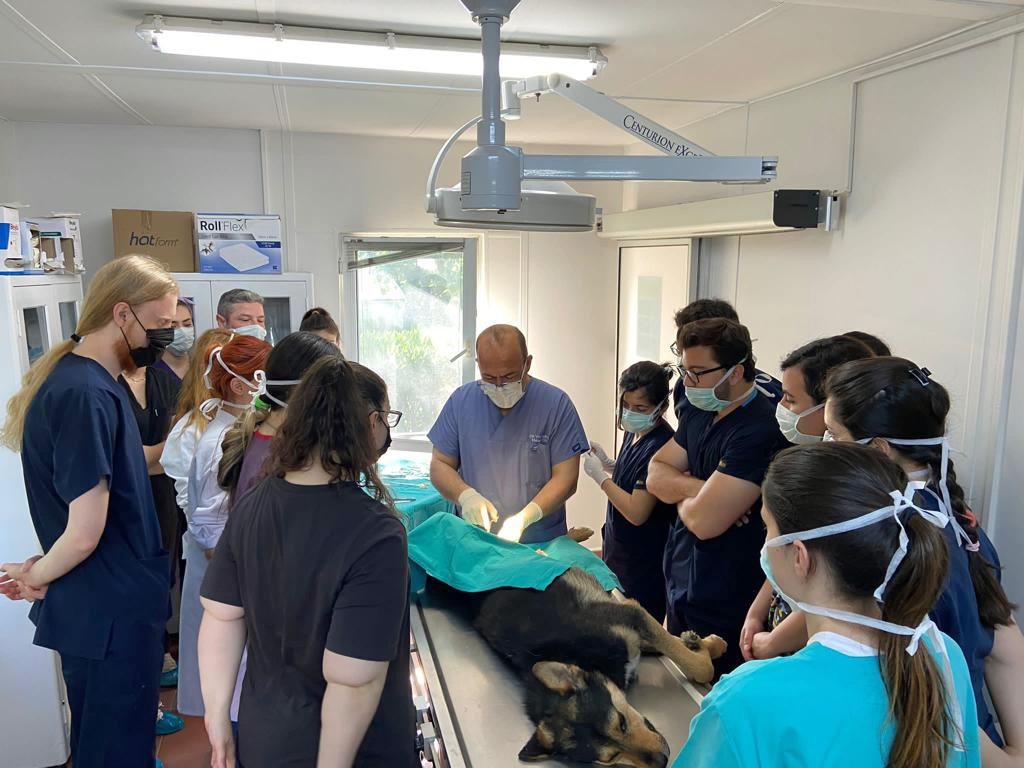 Geleceğin veteriner hekimleri Osmangazi’de